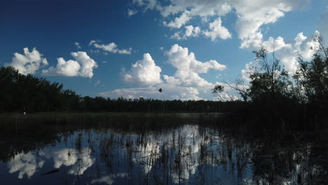 Wide-shot-tilting-down-from-a-blue-summer-sky-to-reveal-marshland-and-clouds-reflecting-in-water-surface