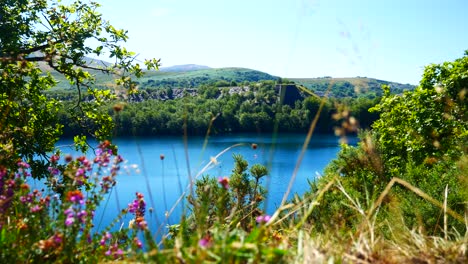 Hilltop-view-overlooking-idyllic-sparkling-blue-lake-surrounded-by-dense-sunny-countryside-woodland