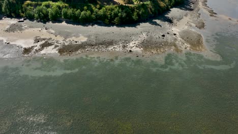 Aerial-view-of-the-shore-at-low-tide-on-Whidbey-Island