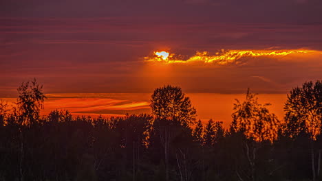 Bäume-Silhouette-Gegen-Den-Sich-Bewegenden-Orangefarbenen-Himmel-Bei-Sonnenuntergang
