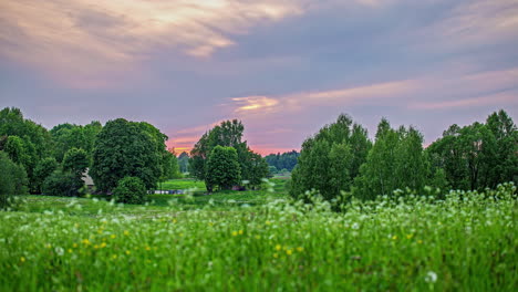 Heller-Sonnenuntergangshimmel-über-Einer-Ruhigen-Landschaft-Mit-Blick-Auf-Mehrjähriges-Laub-Und-Nadelbäume