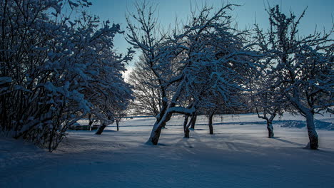 Statische-Aufnahme-Von-Schneebedeckten-Bäumen-Und-Ebenen-An-Einem-Bewölkten-Tag-Im-Zeitraffer