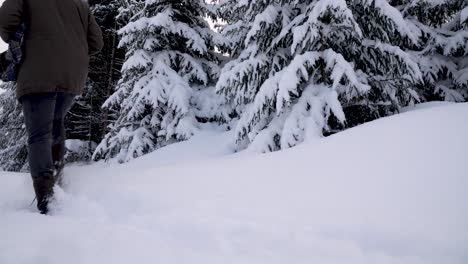 Caucasian-man-in-casual-winter-clothing-walking-across-screen,-snowy-virgin-path-in-german-Harz-mountains-while-it-is-snowing,-leaving-footprints-behind