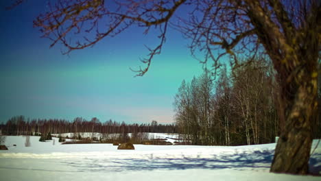 Timelapse-shot-of-tree-shadows-moving-over-sparkling-snow-throughout-the-day