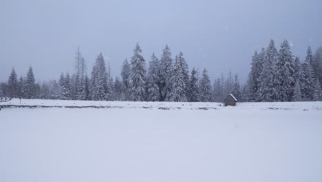 Gran-Lago-Congelado-Entre-Coníferas-Cubiertas-De-Nieve-Con-Las-Altas-Montañas-De-Harz-En-Alemania-En-El-Fondo,-Tiro-De-Mano-Mientras-Nieva-Con-Cielos-Oscuros-En-El-Fondo
