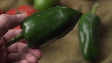Person's-Hand-Holding-Green-Bell-Pepper-In-The-Kitchen
