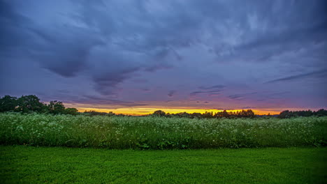 Dramatic-Sunset-Sky-Over-Green-Spring-Field-With-Wildflowers-In-Bloom