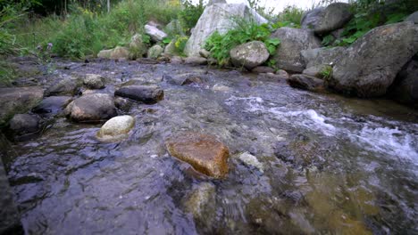 Small-creek-with-quick-running-fresh-clean-water-between-stones,-static-close-up
