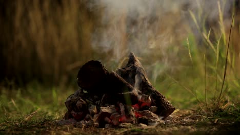 Burning-wood-sticks-on-a-mini-bonfire-to-stay-warm