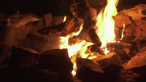 Logs-burning-in-fire-with-animal-skulls-in-the-background,-slider-shot
