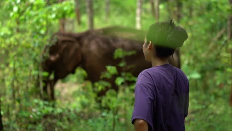 Young-woman-smiles-and-admires-rescued-elephant-at-an-animal-sanctuary-in-the-jungle-of-Chiang-Mai,-Thailand-SLOW-MOTION