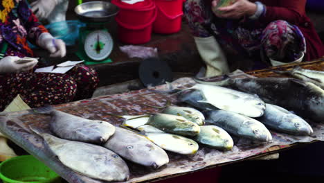Mujer-Vietnamita-Contando-Dinero-Y-Vendiendo-Pescado-Fresco-En-El-Mercado-Callejero