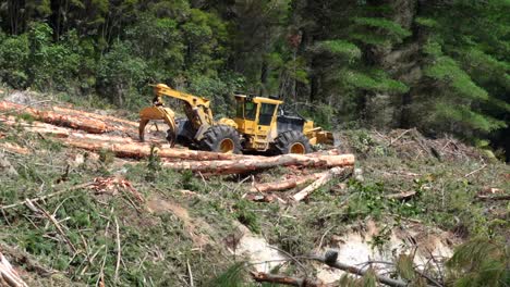 Heavy-machine-forest-skidder-sorting-large-logs-with-hydraulic-claw,-clearcutting-industry