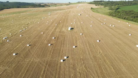 Drone-view-of-bales-of-silage-in-a-field