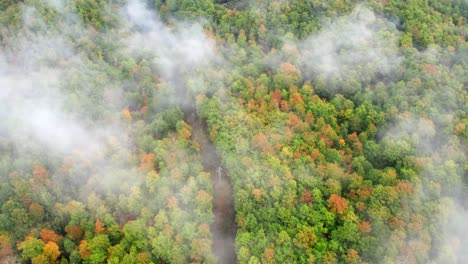 Autumn-colored-forest-with-light-mist-clouds,-aerial