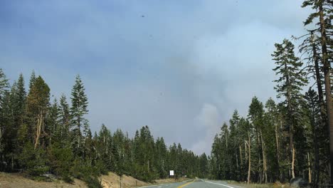 POV-driving-shot-in-middle-of-forest,-towards-wildfire-smoke-in-California,-USA