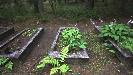 Cementerio-De-Entierro-Cubierto-De-Maleza-Abandonado-En-El-Bosque-De-Lituania,-Europa
