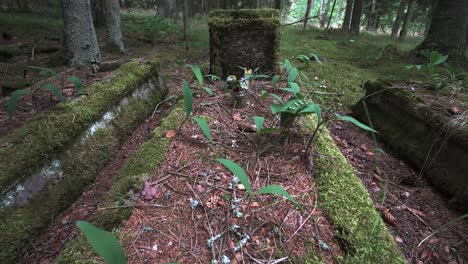 Unheimliche-Verlassene-Friedhofsgrabstätten-In-Der-Litauischen-Waldwildnis