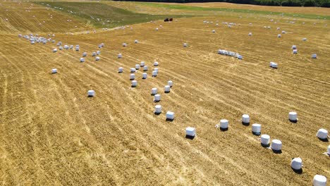 Rural-field-with-hay-rolls