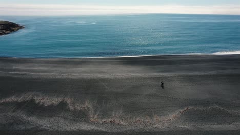 Drone-shot-circling-around-two-persons-walking-on-a-very-long-black-beach-in-Iceland-4k