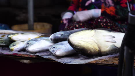 Frischer-Fisch-Aus-Meeresfrüchten,-Der-Auf-Dem-Lokalen-Markt-Von-Phan-Thiet-Verkauft-Wird,-Vietnamesischer-Verkäufer-Im-Hintergrund