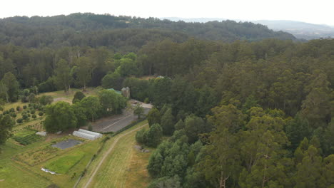 Aerial-perspective-decent-over-natural-Australian-canopy-with-cockatoos-flying-off-into-the-distance