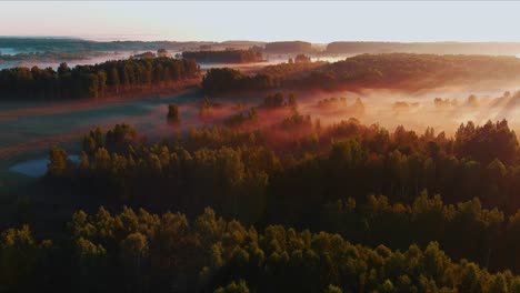 Colorful-drone-shot-of-a-foggy-forest-at-sunrise