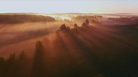 Aerial-view-of-beautiful-sunrise-over-valley-with-trees-and-river