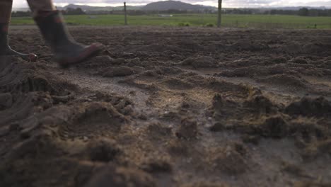 Farmer-with-gumboots-walking-through-mud-on-New-Zealand-ranch,-low-angle
