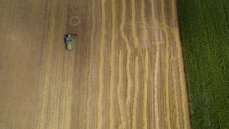 Harvester-working-on-rural-grain-field,-aerial-top-down-view