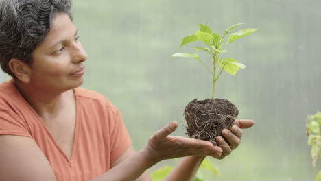 Selbstversorgung---Eine-Attraktive-Inderin-Wiegt-Eine-Junge-Paprikapflanze