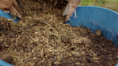 SELF-SUSTAINABILITY---Grassy-compost-is-poured-from-a-bag-into-a-bucket
