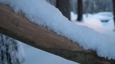 Schneebedeckter-Baumstamm-Im-Harz-Deutschland,-Warmes-Sonnenlicht-Scheint-Durch-Den-Kalten-Winterwald
