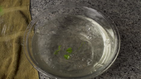 Hand-Washing-Parsley-On-The-Clear-Bowl