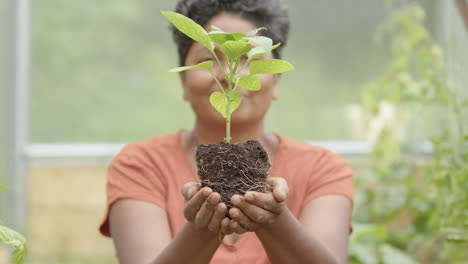 Selbstversorgung---Eine-Junge-Paprikapflanze-Wird-Vom-Indischen-Gärtner-Geerntet