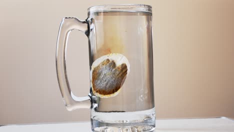 Dropping-teabag-in-the-big-glass-mug