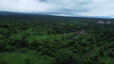Drone-fly-over-aerial-view-on-tropical-village,-Bali