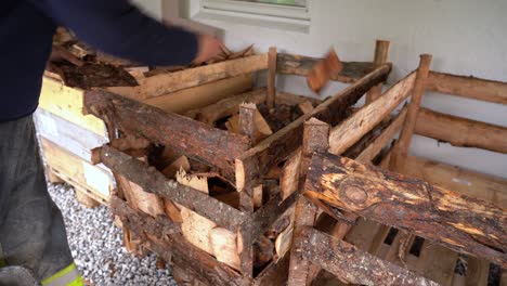 European-male-throwing-chopped-up-firewood-into-pallet-for-storage-and-drying-to-prepare-for-winter