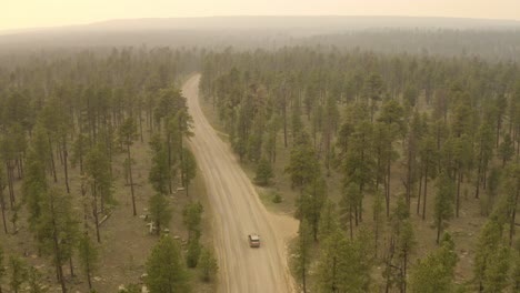 Smokey-forest-luxury-SUV-driving-down-dirt-road