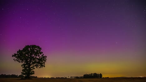 The-colorful-lights-of-the-aurora-borealis-on-a-starry-night-over-the-silhouette-of-a-tree---time-lapse