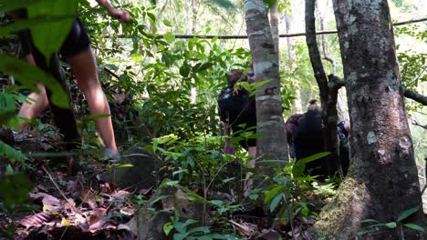 Eine-Gruppe-Junger-Und-Abenteuerlustiger-Rucksacktouristen-Wandert-Und-Wandert-An-Einem-Klaren-Blauen-Tag-In-Asien-Im-Tropischen-Dschungel-Von-Umphang-In-Nordthailand