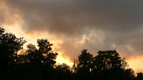 Schöner-Hintergrund-Eines-Bewölkten-Himmels-Mit-Orangefarbenen-Sonnenstrahlen,-Bäume-Im-Dunkeln