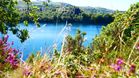 Pintoresco-Lago-Azul-Brillante-Y-Soleado-Rodeado-De-Una-Exuberante-Y-Pacífica-Vista-De-La-Colina-Del-Bosque