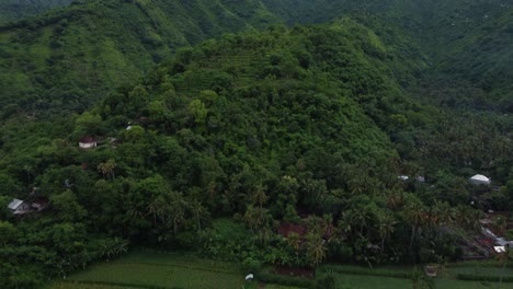 Drone-Disparó-Sobre-El-Campo-De-Arroz-Y-La-Selva-Tropical,-Amed-Bali