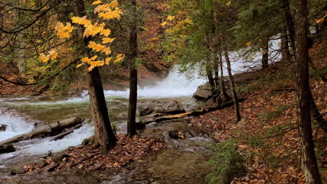 Abgestufter-Wasserfall-Im-Fluss-Mit-Waldbaumlaub,-Das-Herbstfarben-Zeigt