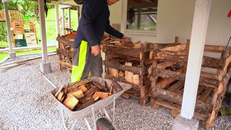 Man-taking-freshly-cut-firewood-from-wheelbarrow-and-stacking-into-boxes-for-drying-and-storage-before-winter-season