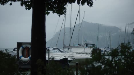 Mountain,-tree,-silhouette,-windy,-fog,-boats,-lake,-rain,-cloudy,-storm,-moody,-switzerland,-early-morning,-hergiswil,-harbor,-europe