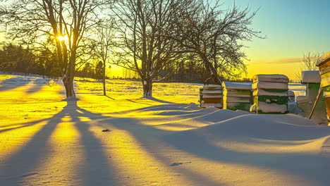 Shadows-creep-across-the-snowy-landscape-as-the-yellow-sunset-passes-by-a-farmer's-beehives---time-lapse