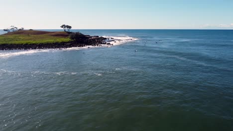 Drone-aerial-pan-shot-Yamba-Angourie-Island-surf-Pacific-ocean-surfers-waiting-in-line-up-beach-reef-travel-tourism-North-Coast-NSW-Australia