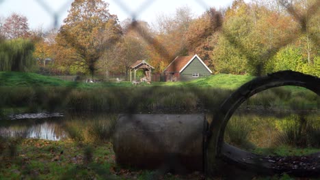 Wide-Shot-Through-A-Fence-Of-Typical-Dutch-Deer-Park-With-Grazing-Deers